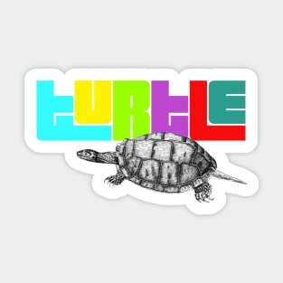 Retro Vintage Turtle Sticker
